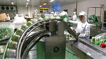 钟祥市农产品加工产业产值突破400亿元 档案数字化加工处理分析